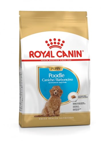 BHN プードル 成犬用 3kg