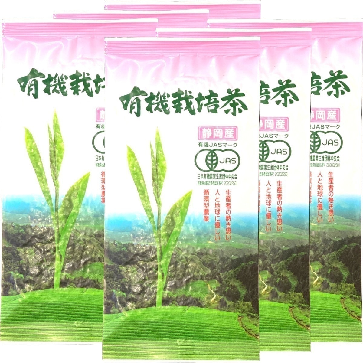 日本茶 お茶 茶葉 静岡産 有機栽培茶 100g6袋セット 国産100％ 静岡県産 緑茶 お中元 敬老の日 2025 ギフト プレゼント プチギフト お茶 内祝い 還暦祝い 男性 女性 父 お中元 御 7,224円