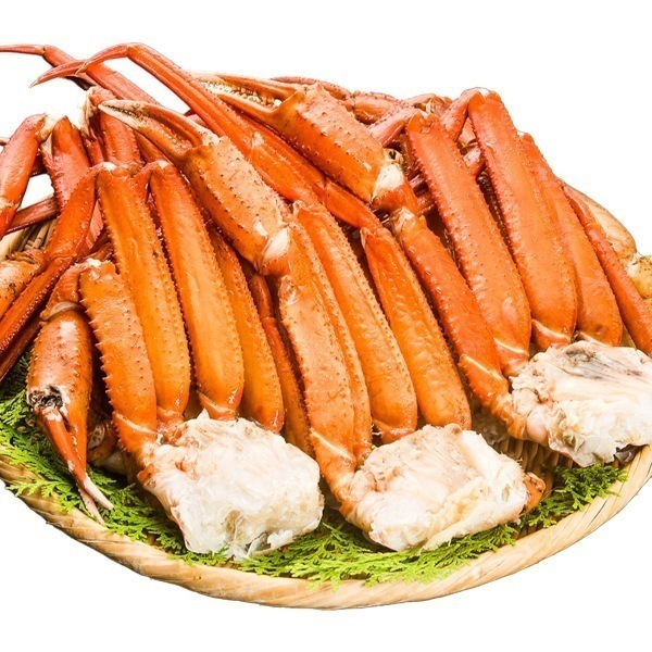 2.4kg 本数たっぷりボイルトゲズワイガニ肩付脚 トゲズワイ トゲズワイガニ ずわいがに トゲズワイガニ足 ボイルズワイ ズワイ