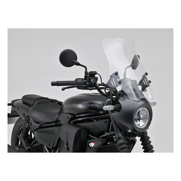 ウインドシールド RS クランプバー付き エリミネーターSE 24 専用 ロング クリアー 41560