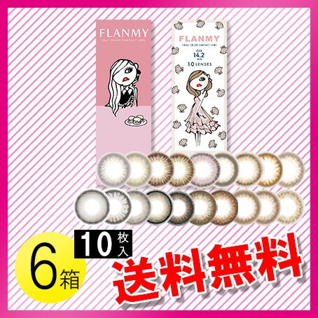 FLANMY 10枚入6箱 / メール便