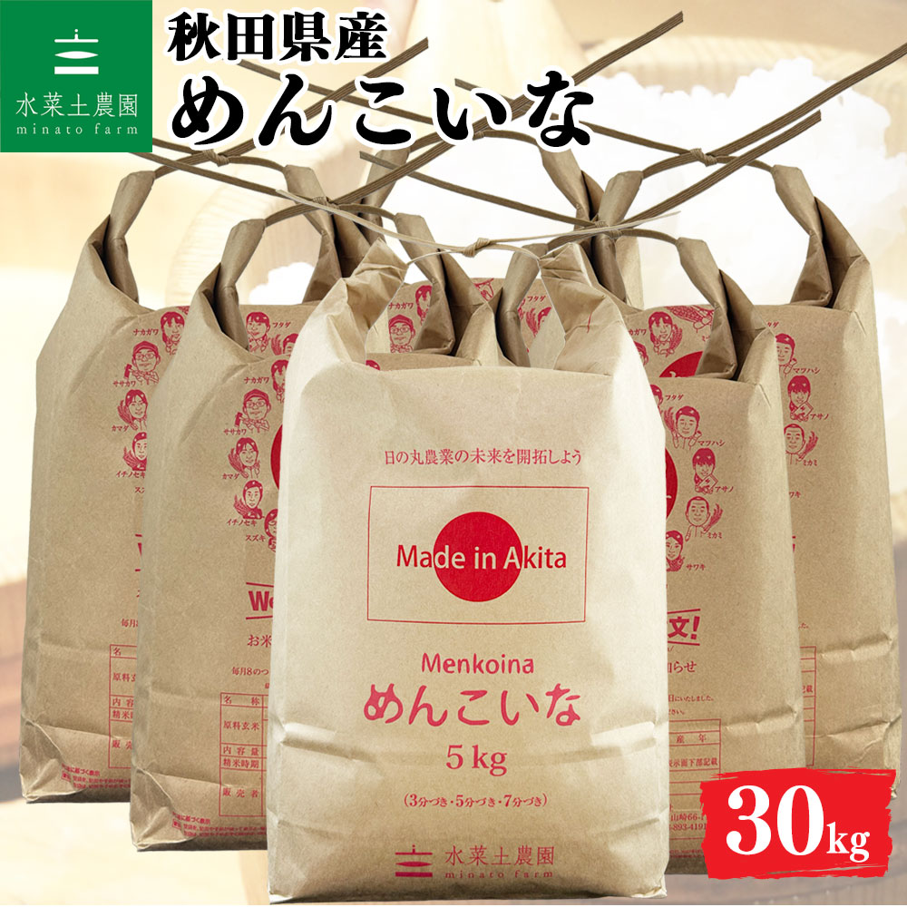 めんこいな 精米 30kg 秋田県産 令和7年産 選べるお試し袋付き