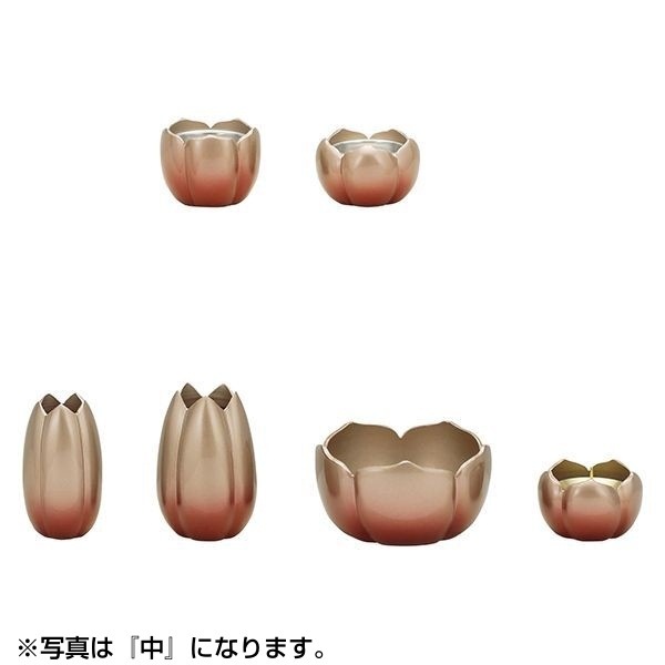 ALTE MEISTER ももか 6点セット 大 薄紅