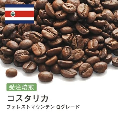 受注焙煎！2kg コスタリカ フォレストマウンテン Qグレード [選べる焙煎度合い] コーヒー豆 大山珈琲 業務用 自家焙煎 卸