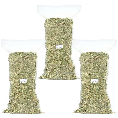 風景画 猿渡厚子 油絵 乗鞍 冬景色 【公式通販】