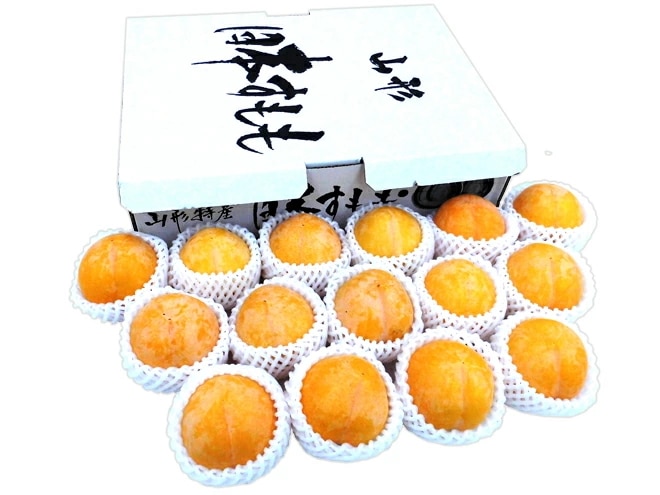 山形産=峰満イエロー=秀品 大玉10-15玉前後 約2kg 化粧箱 予約 9月中下旬以降