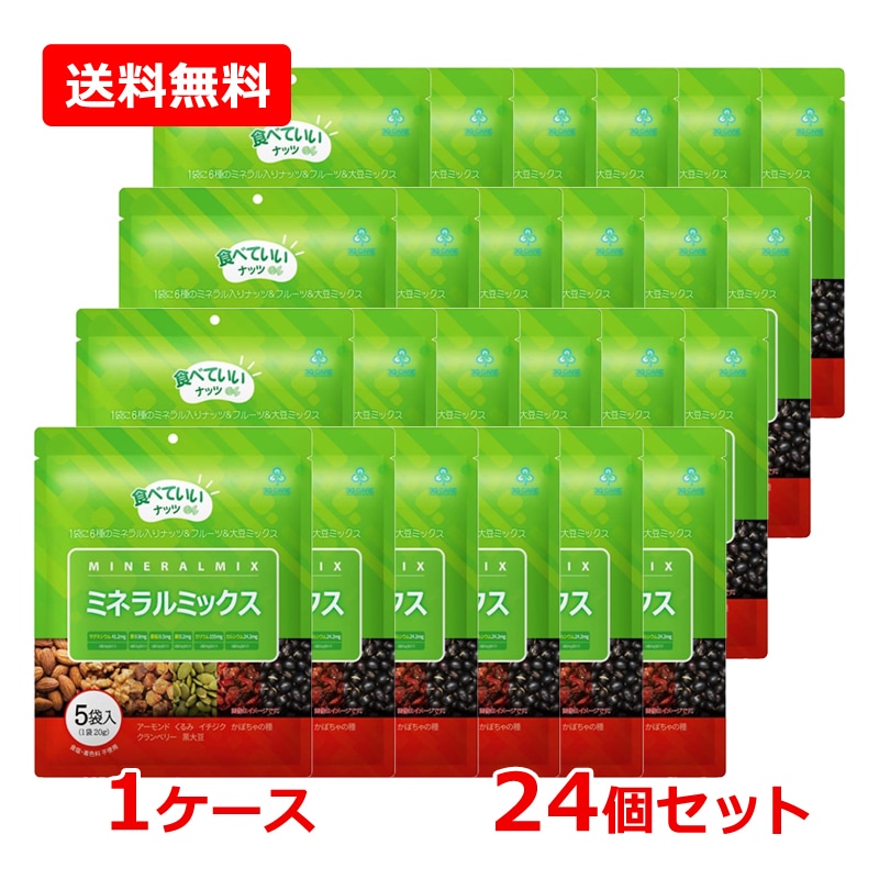 【1ケース・24個セット】【3G CARE】スリージーケア ミネラルミックス 100g（20g×5袋） ×24セット ミネラル 豊富 ナッツミックス