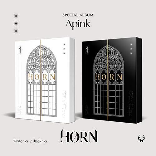 Apink 에이핑크 人気 エーピンク - 限定版 HORN Special Album
