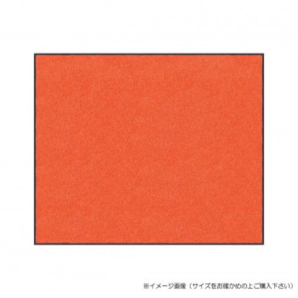 (クリーンテックス) スタンダードマットS オレンジ 90×120 cm