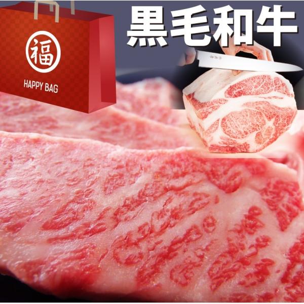 牛肉 肉 黒毛和牛 福袋 ふくぶくろ 凍眠 テクニカン ステーキ 焼肉 ロース スライス カルビ 豪華 限定 お中元 ギフト 食品 プレゼント