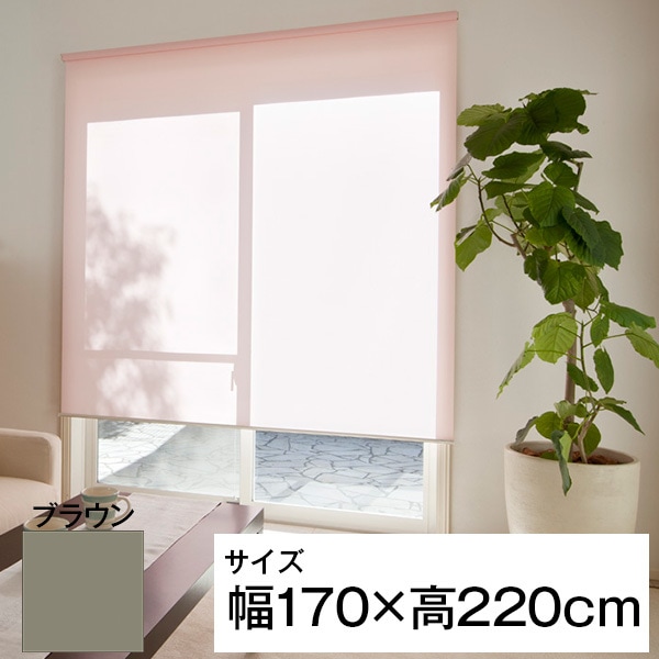 立川機工 ティオリオ ロールスクリーン 遮光2級 170220 ブラウン メーカー直送