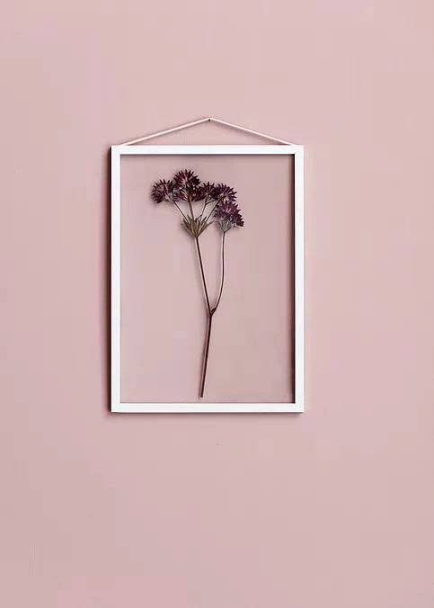 MOEBE A3 FRAME (white) A3 アルミフレーム【ムーベ 北欧