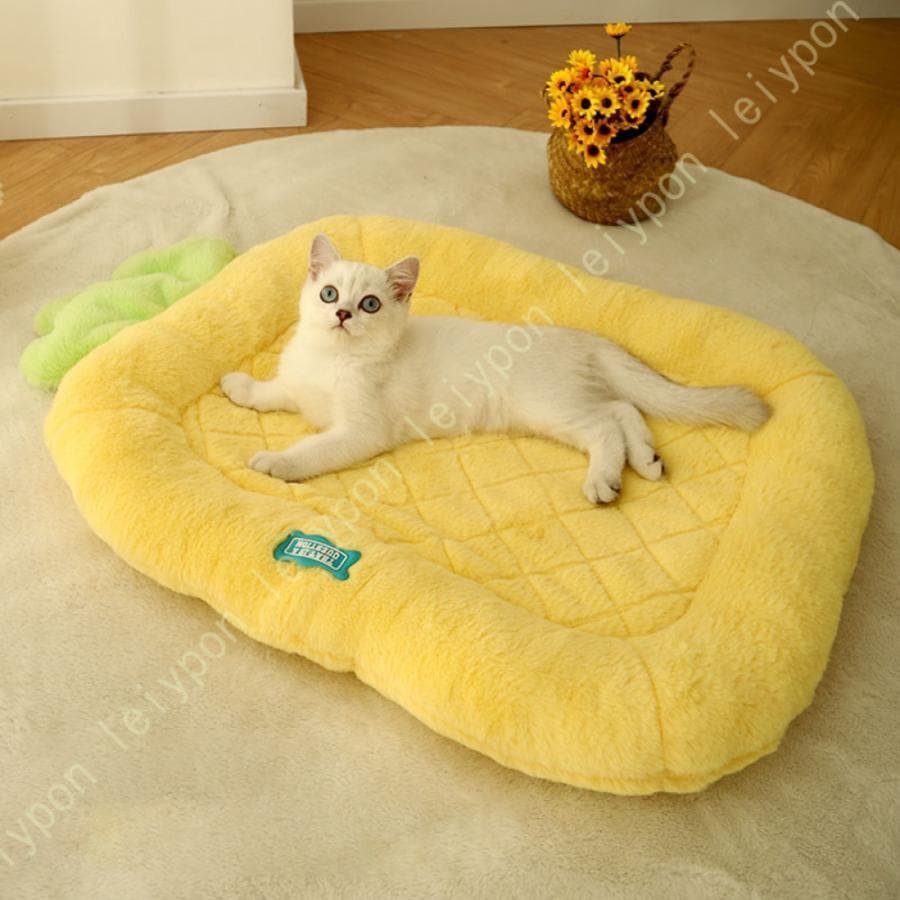 猫 ベッド 夏用 洗える 犬 ベッド 高反発 暑さ対策 ぐっすり眠る 滑り止め 頑丈 キャット 猫用 小型犬用 ペット用品 小中型犬マット 保温防寒