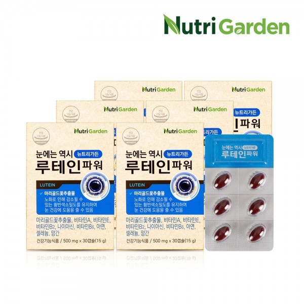 韓国健康食品-ルテインパワー 30カプセルx6ボックス(ビタミンB亜鉛など9種 複合機能性)-KFOOD
