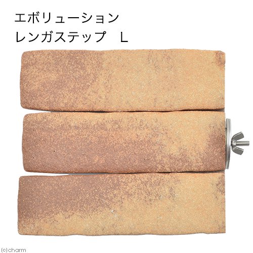 エボリューション　レンガステップ　Ｌ　ＣＲＣ55―47―10―00―00