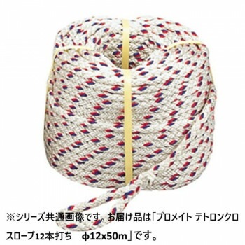 プロメイト テトロンクロスロープ12本打ち　φ12x50m R-1205T