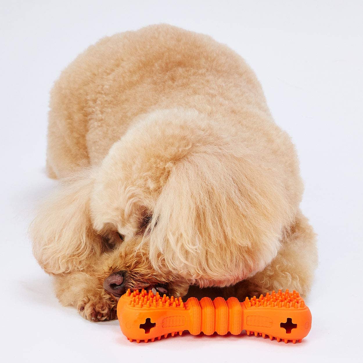 人気デザイナー マルチカラー その他 ボーン LOVER TREATS 犬用おもちゃ (Petio) ペティオ 犬 サイズ S おもちゃ
