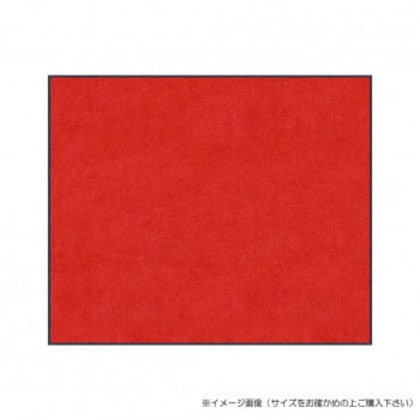 (クリーンテックス) スタンダードマットS レッド 90×120 cm