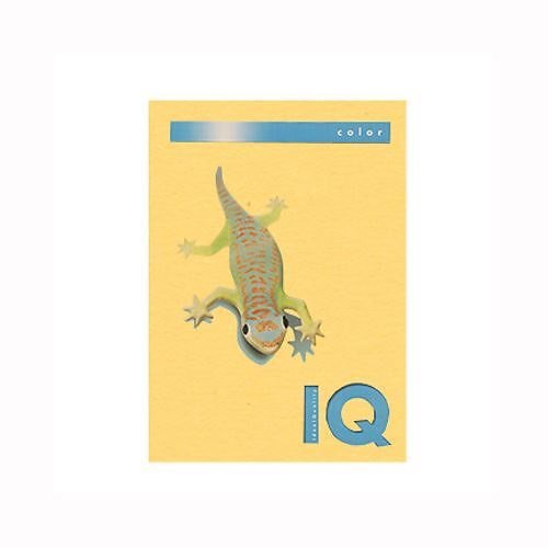 （まとめ買い）伊東屋 バイオトップカラーA4（500枚入） BT502 ｺﾞｰﾙﾄﾞ 00032225 [x3]