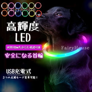 自信がみなぎる犬 首輪 光る 光る首輪 ペット 猫 LEDライト リード 光 点灯 点滅 蛍光 小型犬 中型犬 大型犬 夜散歩ライト USB充電式 夜 散歩 安全 事故防止 安全グッズ ペット用 ドッ