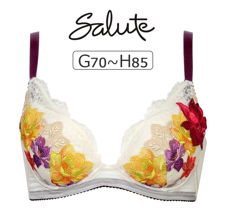 ワコール サルート 30G ブラジャー単品 小さく見せるブラ GHカップ アンダー70/75/80/85cm BTJ230 7,199円