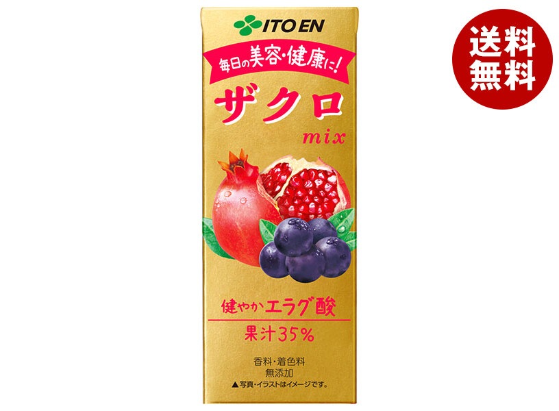伊藤園 ザクロミックス 200ml紙パック＊24本入＊(2ケース)
