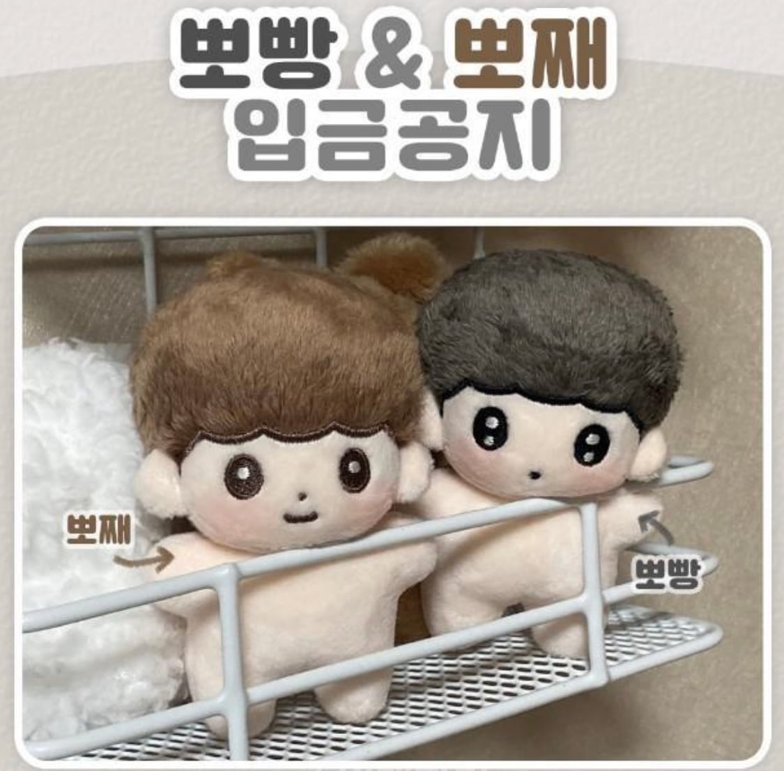 THE BOYZ　ドボイズ ヨンフン ヒョンジェ ぬいぐるみ 10cm 영훈 YOUNGHOON ドボ HYUNJAE 현재