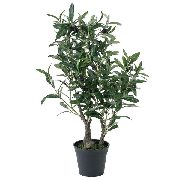 SPICE フェイクグリーン オリーブの木 60cm CXGK1012