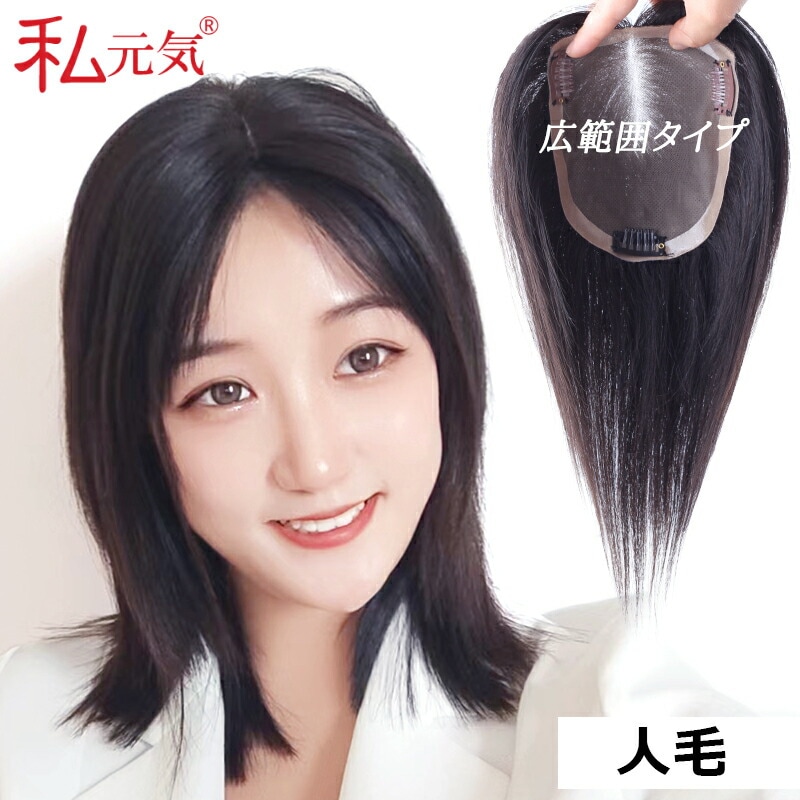 人毛 広範囲カバー 総手植え 部分ウィッグ【25cm】部分ウィッグ 人毛 ウィッグ かつら ポイントウィッグ 白髪かくし つけ毛 私元気 BHA1315-25