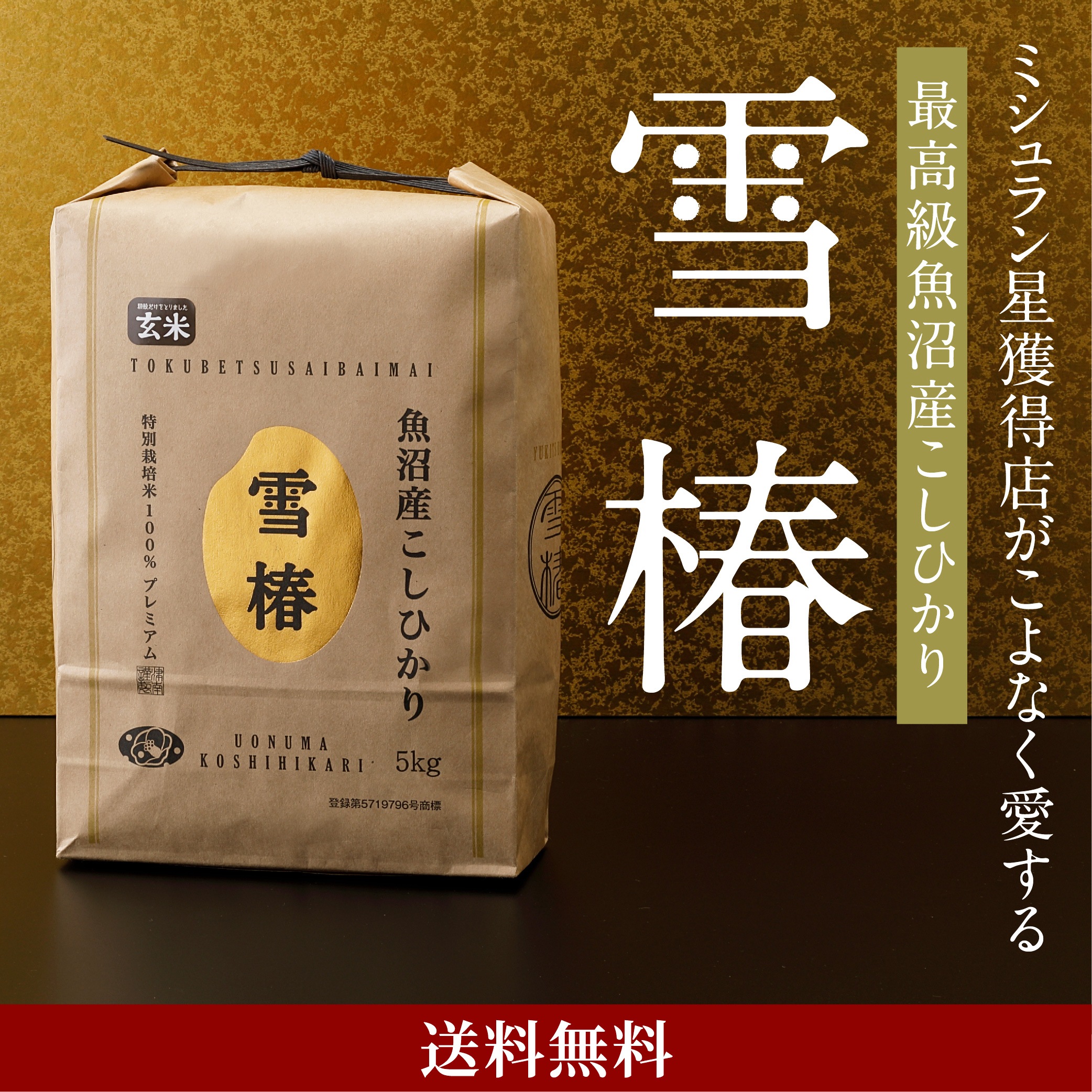米 お米 玄米 魚沼産コシヒカリ 雪椿 コシヒカリ こしひかり 魚沼産 新潟県産 令和7年産 おいしい 美味しい 5kg 魚沼コシヒカリ 新潟 魚沼 Brown Rice