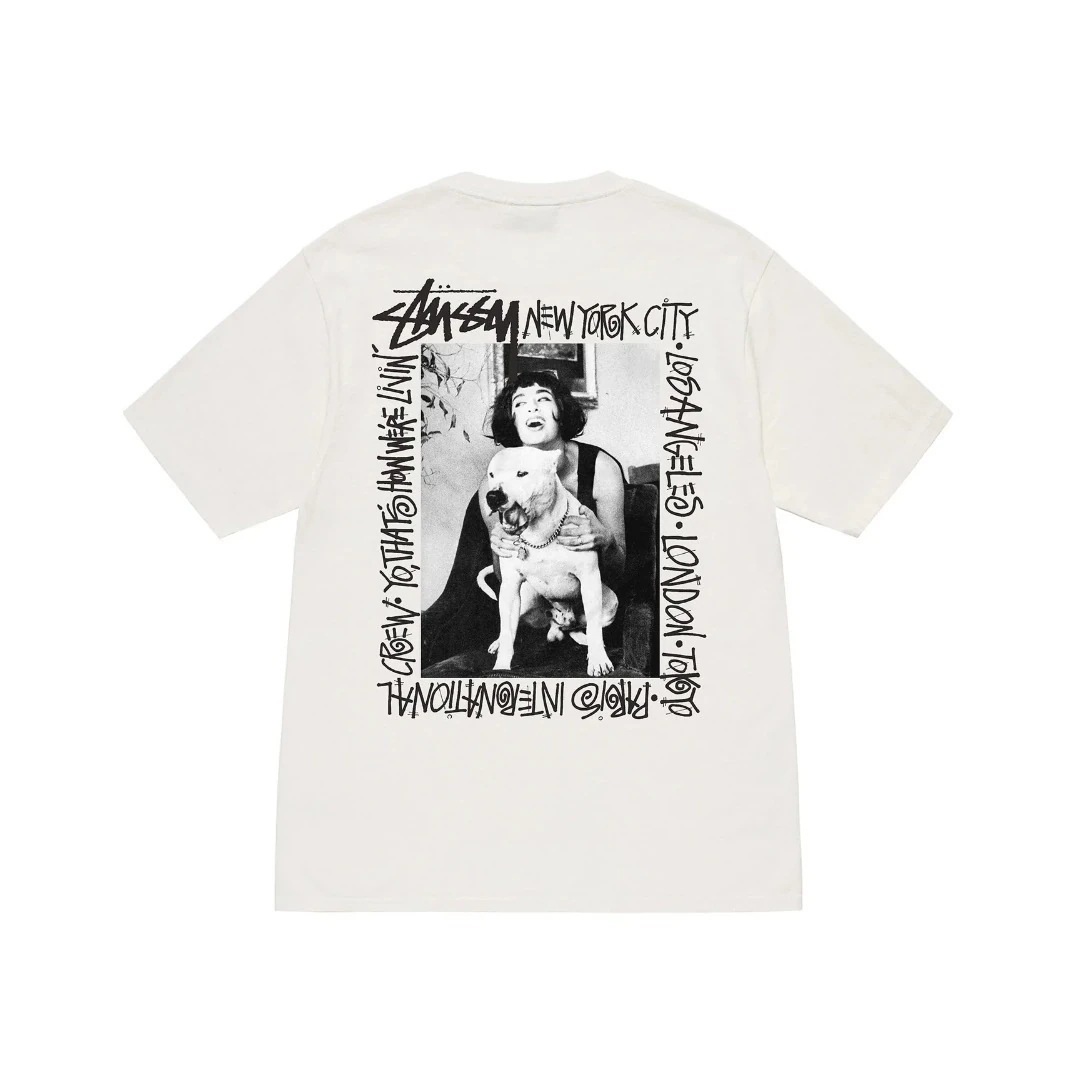 STUSSY（ステューシー） カットソー 半袖 STUSSY HOW WERE LIVIN PIGMENT DYED TEE Tシャツ 1904855