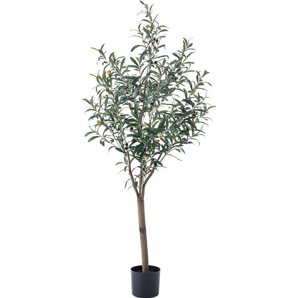フェイクグリーン 観葉植物 オリーブ 約幅44x奥行44x高さ152cm リビング 店舗 ショップ インテリア雑貨