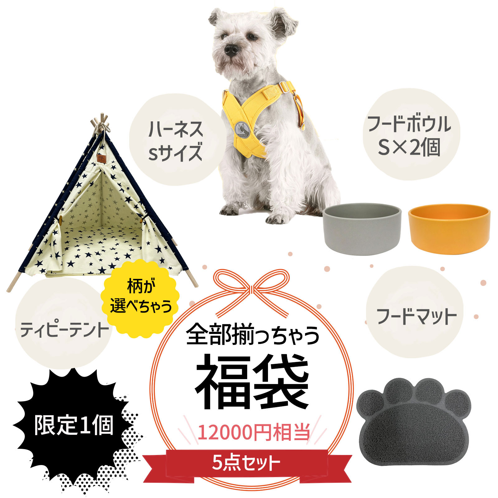 レア 美人画の俊才 陳貴平Chen Guipingが描く油彩画飾皿 本物