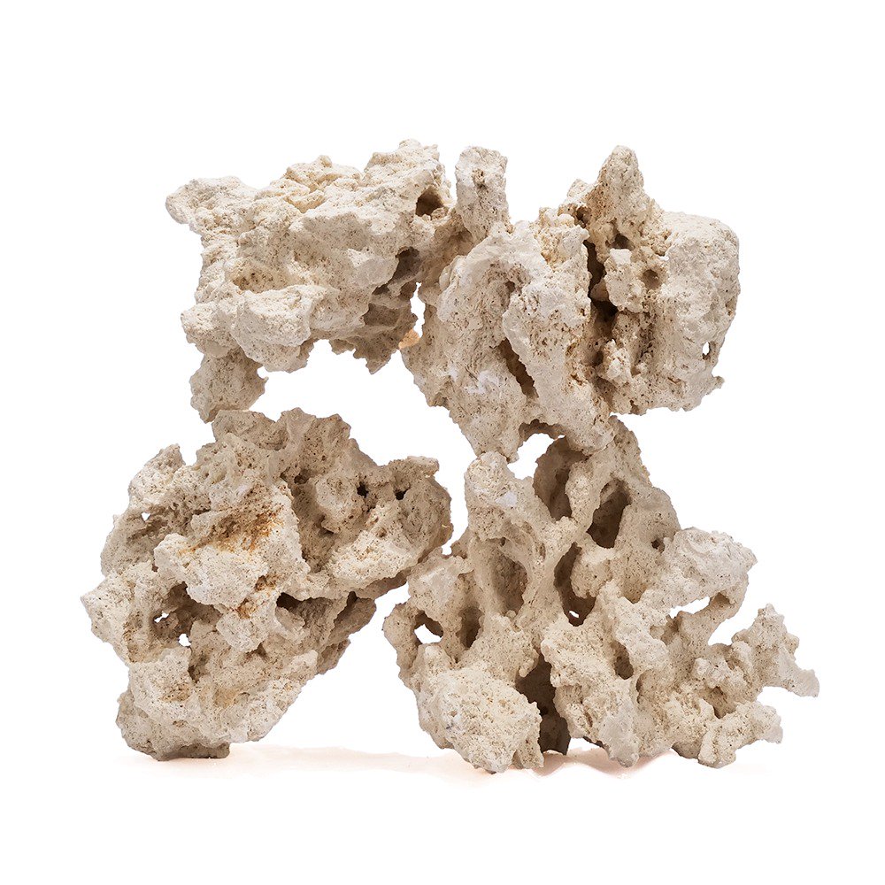 マルコロック　リーフセーバー　エッジ（Ｅｄｇｅ）　ＳＳサイズ　１０ｋｇ　海水水槽用　水槽用石　デスロック　化石サンゴ　ＣＲＣ10―35―90―10―00