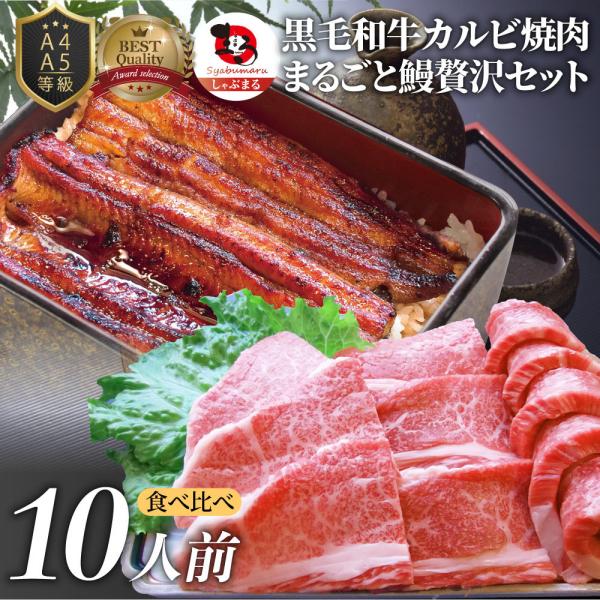 黒毛和牛 ＆ まるごと鰻 セット 10人前 焼肉のタレ 凍眠 テクニカン 肉 お中元 ギフト 食品 プレゼント うなぎ 黒毛和牛 カルビ 焼肉 A4 A5等級