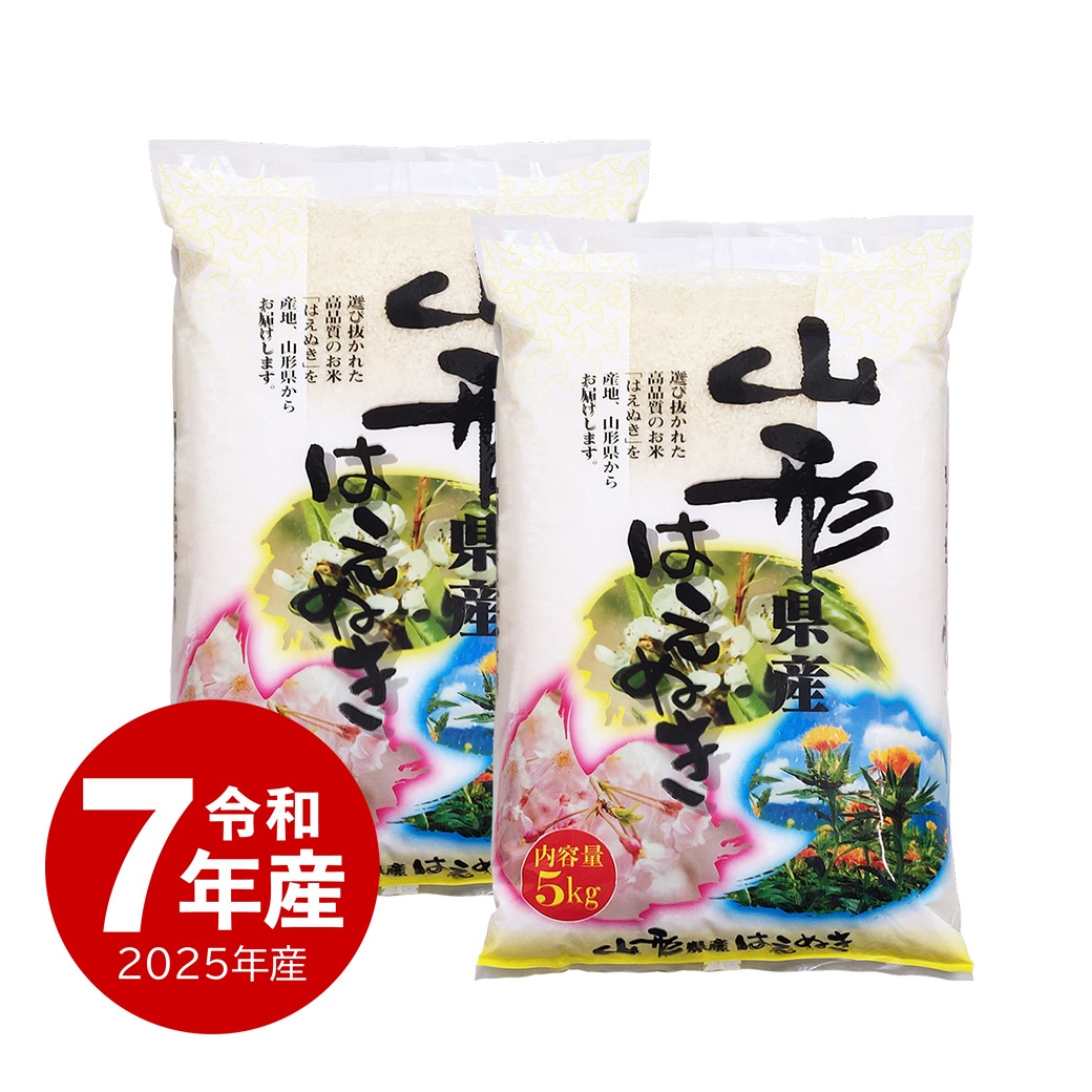 米 10kg 山形産はえぬき 令和7年産 お米 10キロ