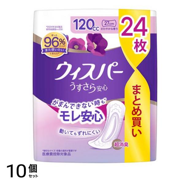 うすさら安心 120cc 27cm さわやかな香り 24枚入 10個セット