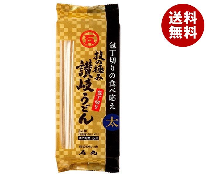 卸し売り購入 石丸製麺 技の極み 300g＊12袋入＊(2ケース) 包丁切り 讃岐うどん うどん - flaviogimenis.com.br