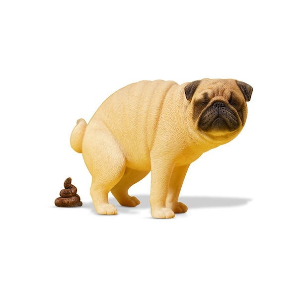 パグちゃん(即購入可即日発送) Qoo10] JXK 1/6 サイズ パグ 可愛い 犬