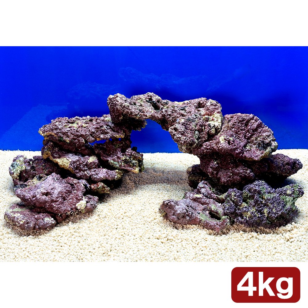 （海水魚）ライブロック　プレート状　サイズミックス（４ｋｇ）　北海道・九州航空便要保温　ＣＲＣ26―55―20―30―00