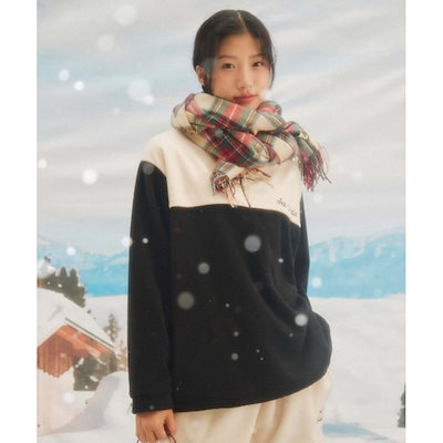 現地株 発根済み ユーフォルビア ムランジーナ 【公式通販】