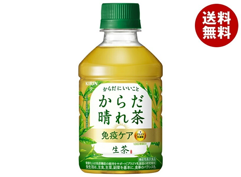 キリン 生茶 からだ晴れ茶 280mlPET×24本入×(2ケース)