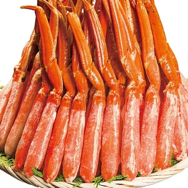 3kg ズワイガニ太脚剥き身（ボイル済） かに カニ 蟹 ズワイ むき身 ポーション 海鮮