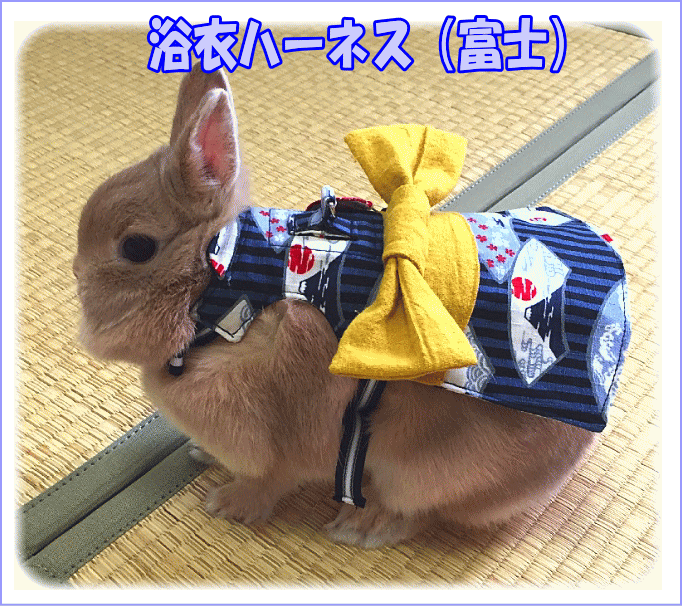 もちつき[うさぎ用ハーネス]浴衣ハーネス（富士）