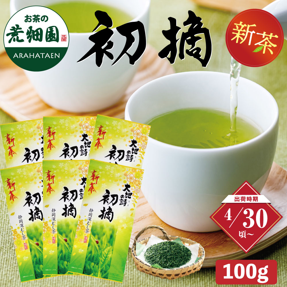 【新茶】 2026 初摘 100g×6袋 茶葉 お茶 お茶の葉 緑茶 深蒸し茶 静岡茶