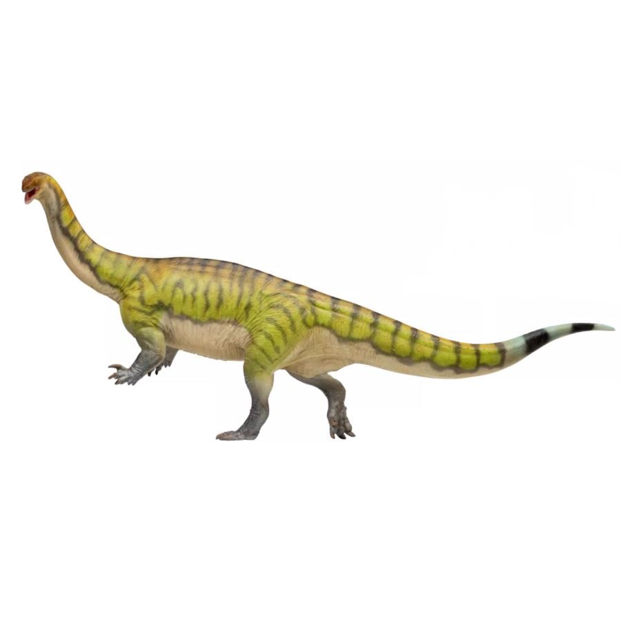 PNSO ルーフェンゴサウルス 成長シリーズ81 禄豊竜 古竜脚類 25cm 恐竜 前期ジュラ紀 リアル おもちゃ 科学 芸術 模型 恐竜好き プレゼント