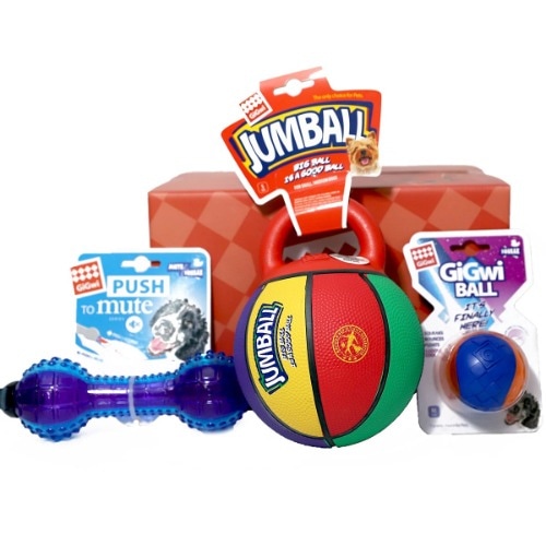 ギグウィアウトドアプレイ用人形ギフトボックス3口ペット犬中型犬子犬遊び心おもちゃ無毒性遊び活動