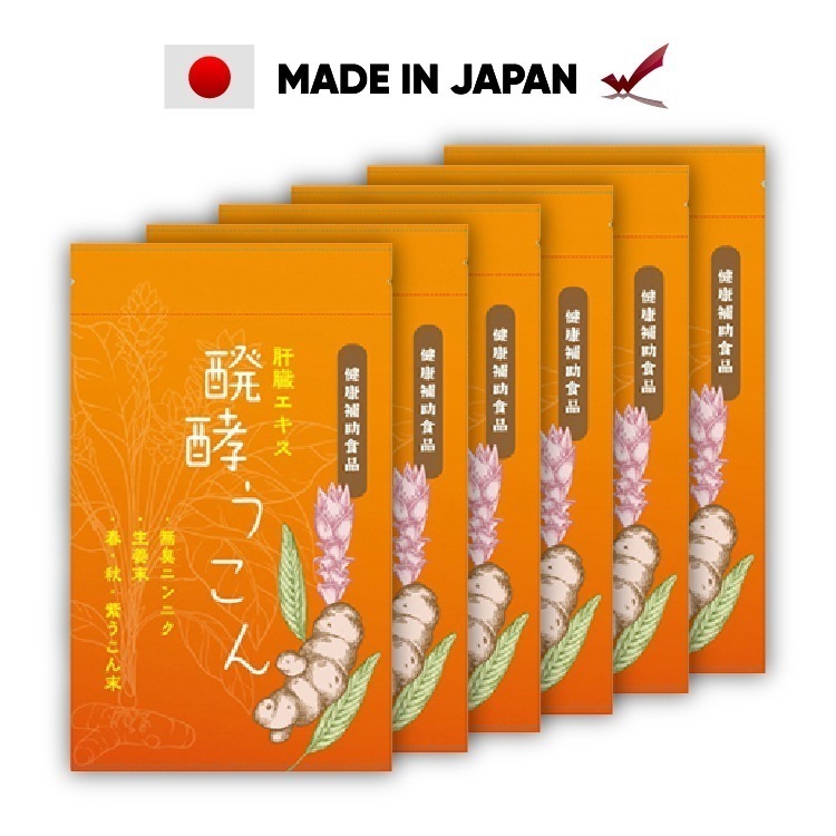 醗酵うこん サプリ　ターメリック　クルクミン　にんにく　ショウガ　肝臓エキス　渡邊薬品 300mg含有 肝臓水解物　二日酔い　6袋