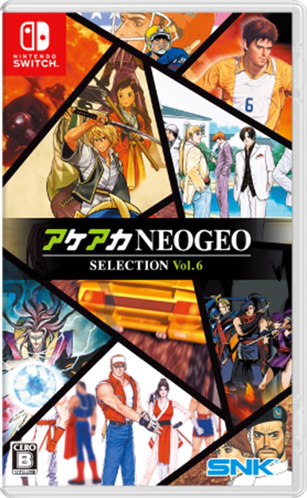 全国送料無料 アケアカNEOGEO セレクション Vol.6 -Switch