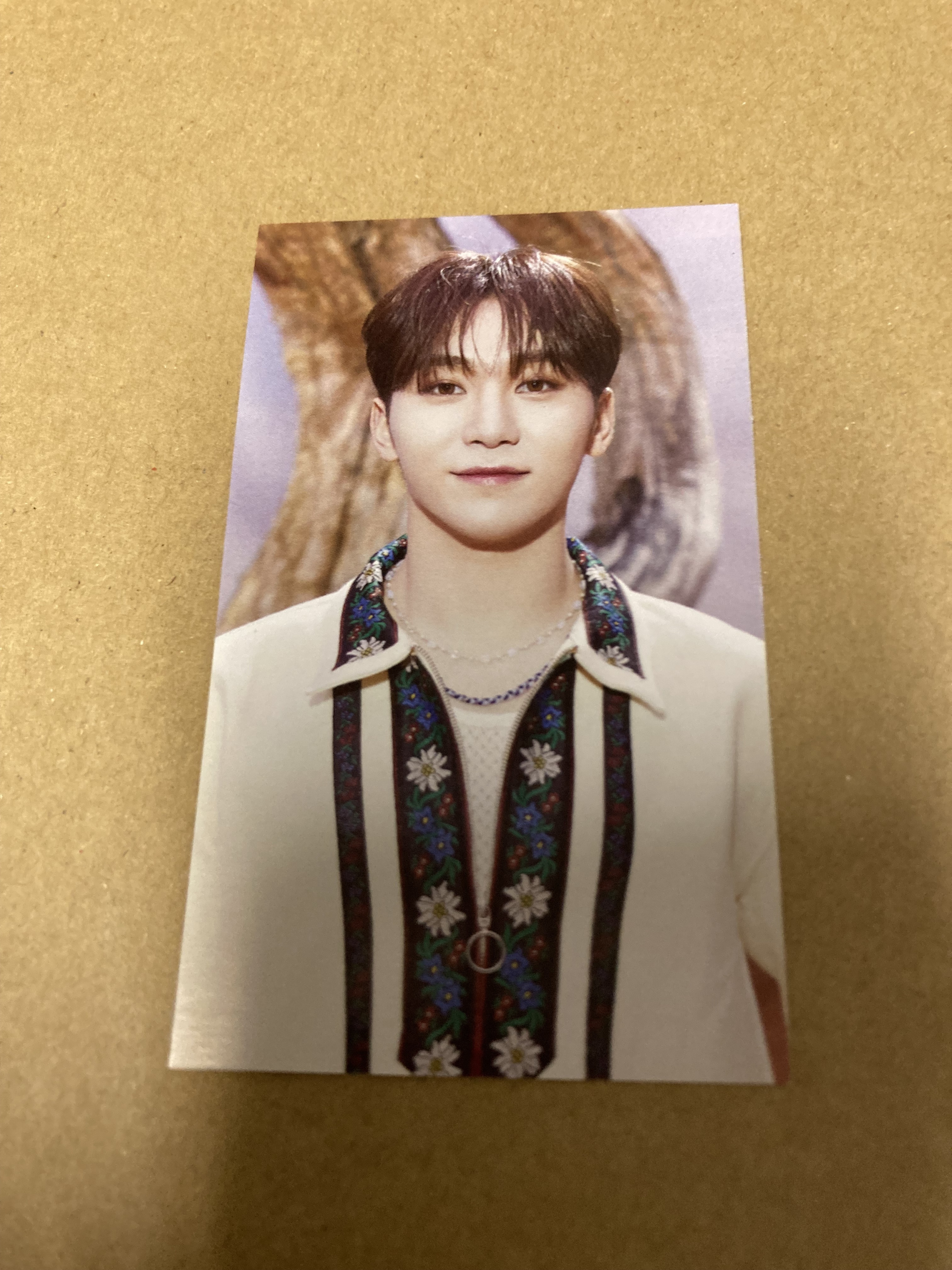 SEVENTEEN FACE THE SUN タワーレコード特典カード c 新品 5,206円